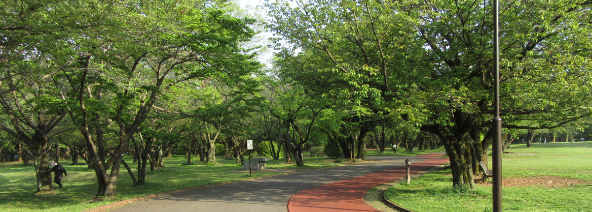 大学受験個別指導会所沢